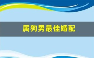 属狗男最佳婚配(2006年属狗男最佳婚配)