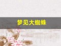 梦见大蜘蛛(梦见大蜘蛛爬身上是什么预兆)