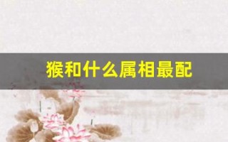 猴和什么属相最配(羊和什么属相最配)