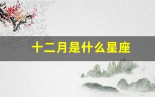 十二月是什么星座(十二月二十四是什么星座)