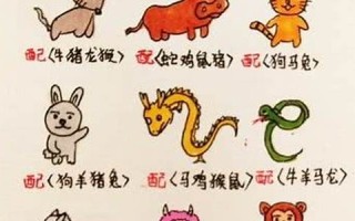 12生肖最佳配对(12生肖最佳配对表查询表)
