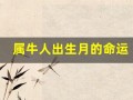 属牛人出生月的命运(属羊5月份出生的命运怎么样)