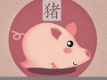 属猪人2022年全年运势及运程(属猪2026年运势及运程详解)
