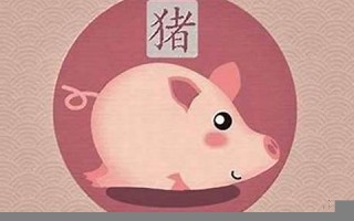 属猪人2022年全年运势及运程(属猪2026年运势及运程详解)