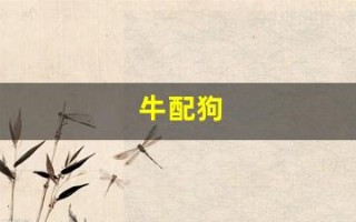 牛配狗(牛配狗守孤灯是什么意思)