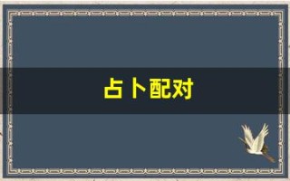 占卜配对(婚配占卜)