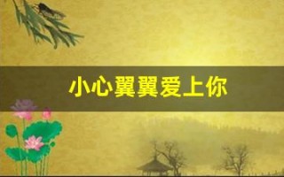 小心翼翼爱上你(小心翼翼爱上你是什么歌)