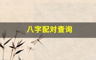 八字配对查询(八字配对查询爱情)