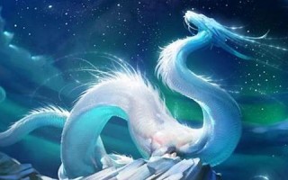 龙年运程(龙年运程2024生肖年运程免费)