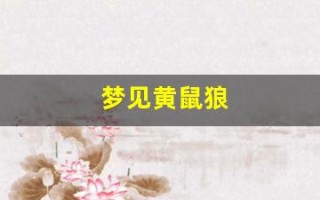 梦见黄鼠狼(梦见黄鼠狼是仙家托梦吗)