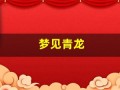 梦见青龙(梦见青龙向我扑来)