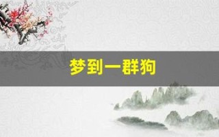 梦到一群狗(梦见狗咬自己右手财运怎么样)