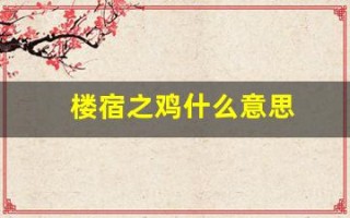 楼宿之鸡什么意思(楼宿之鸡是什么意思)