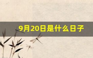 9月20日是什么日子(9月20日是什么日子啊)