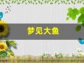 梦见大鱼(梦见大鱼是什么预兆)