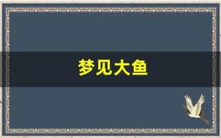 梦见大鱼(梦见大鱼 特别大)
