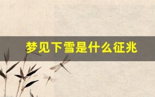 梦见下雪是什么征兆(梦见下雪是什么征兆女性周公解梦)