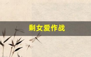 剩女爱作战(剩女大作战小说)