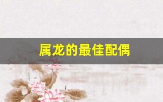 属龙的最佳配偶(00年属龙的最佳配偶)