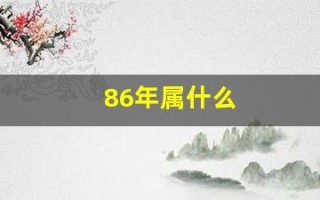 86年属什么(86年属什么的属性)
