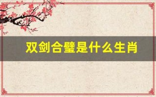 双剑合璧是什么生肖(双剑合璧的是什么意思)