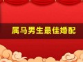 属马男生最佳婚配(属马男生最佳婚配上上婚配是什么)