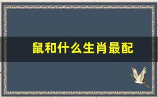 鼠和什么生肖最配(鼠女和什么生肖最配)