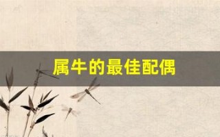 属牛的最佳配偶(96年属牛的最佳配偶)