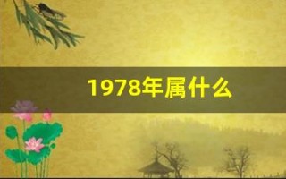 1978年属什么(1978年属什么五行)