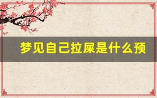 梦见自己拉屎是什么预兆(梦见自己拉屎身上沾屎预兆什么)