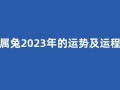 属兔2023年的运势及运程(属兔2025年的运势及运程)