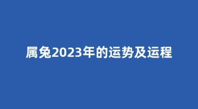 属兔2023年的运势及运程(属兔2025年的运势及运程)