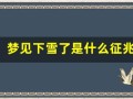 梦见下雪了是什么征兆 女性(梦见下雪了是什么征兆 女性周公解梦)