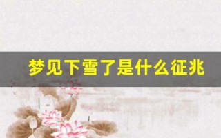 梦见下雪了是什么征兆 女性(梦见下雪了是什么征兆 女性周公解梦)