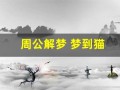 周公解梦 梦到猫(周公解梦梦到猫死了)
