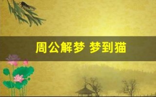 周公解梦 梦到猫(周公解梦梦到猫死了)