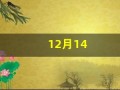 12月14(12月14日是什么星座)