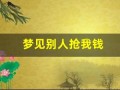 梦见别人抢我钱(梦见别人抢我钱包的预示)