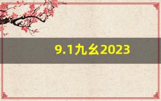 9.1九幺2023(9.1九幺2023网站)