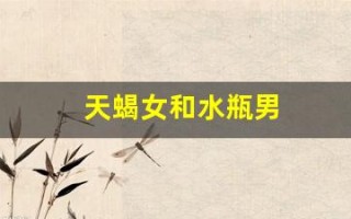 天蝎女和水瓶男(天蝎女和水瓶男合适吗)