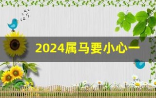 2024属马要小心一个人(2024属马要小心一个人属鸡如何)