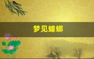梦见蟑螂(梦见蟑螂和老鼠是什么意思)