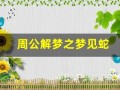 周公解梦之梦见蛇(周公解梦之梦见蛇咬我)