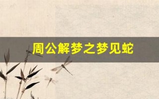 周公解梦之梦见蛇(周公解梦之梦见蛇咬我)