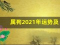 属狗2021年运势及运程每月运程(属狗2021年运势及运程每月运程祥安阁)