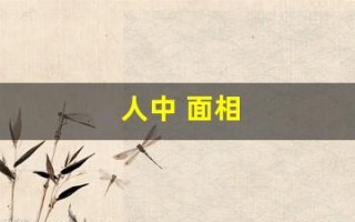 人中 面相(鼻准压人中面相)