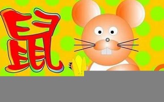 鼠年几月出生好(鼠年几月出身最好)