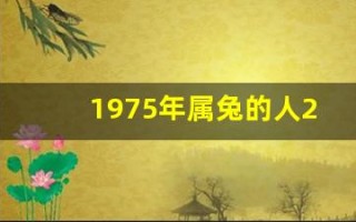 1975年属兔的人2013年运程(1975年的兔子2020年运程)