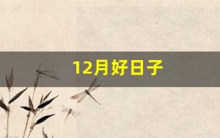 12月好日子(阴历12月好日子)