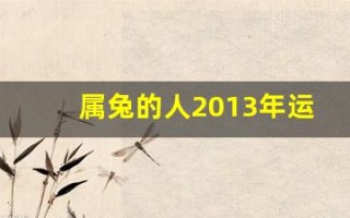属兔的人2013年运程(属兔2013年运势及运程)